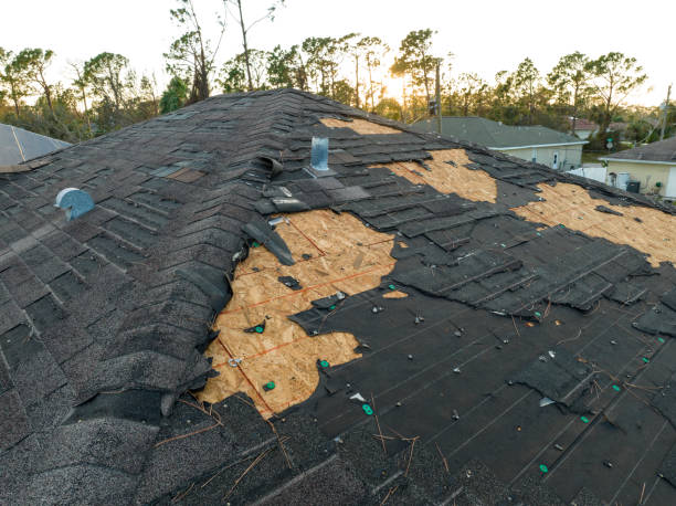 Best Storm Damage Roof Repair  in Saukville, WI