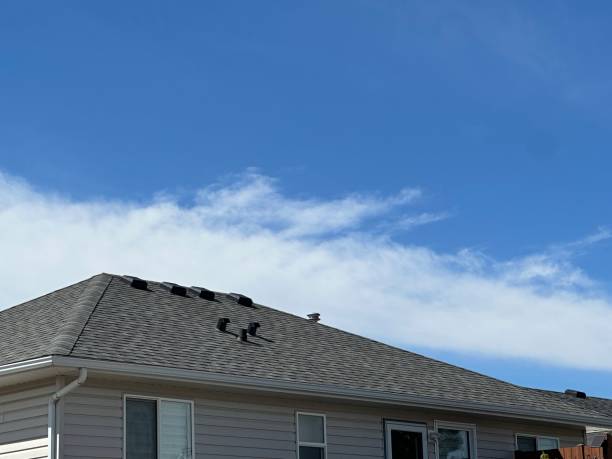 Best Roof Insulation Installation  in Saukville, WI